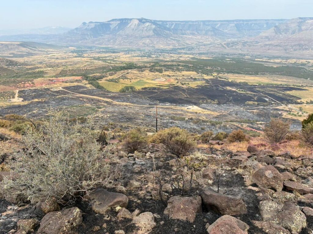 310 burn area August 8