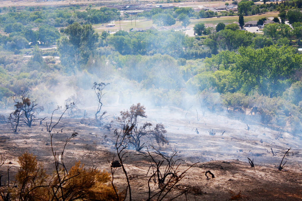 A scorched hillside in Garfield County following a wildfire.