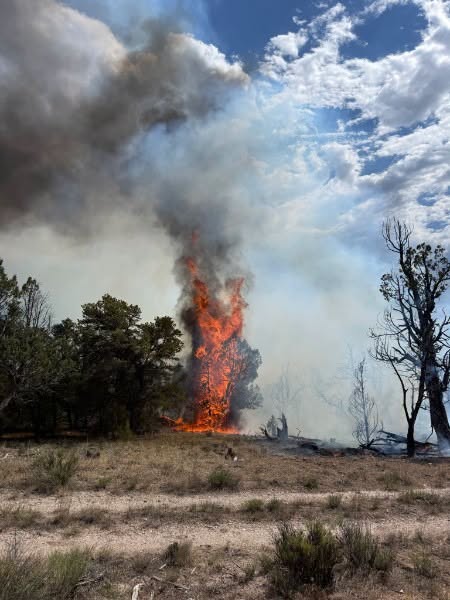 Red Hill area fire near Carbondale