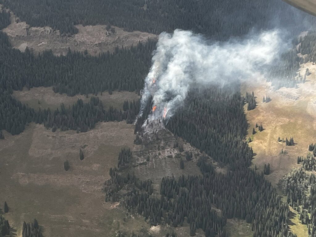 Elk Knob Fire in Flat Tops shows flames in trees and smoke plume