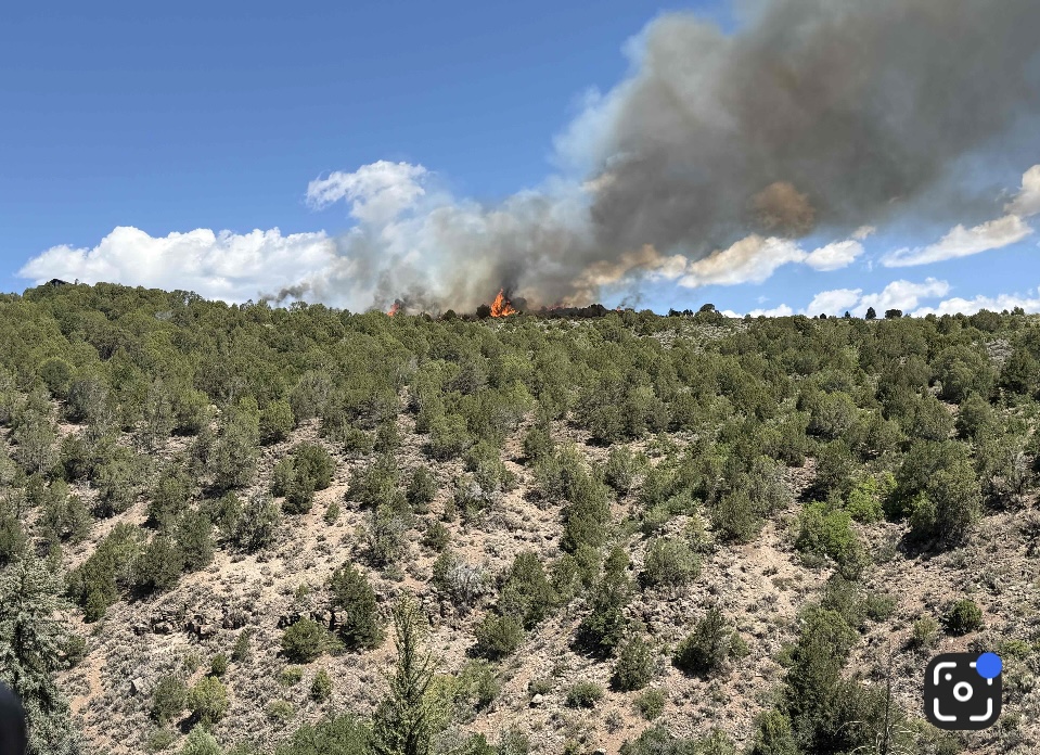 8-3-25 Coulter Creek Fire