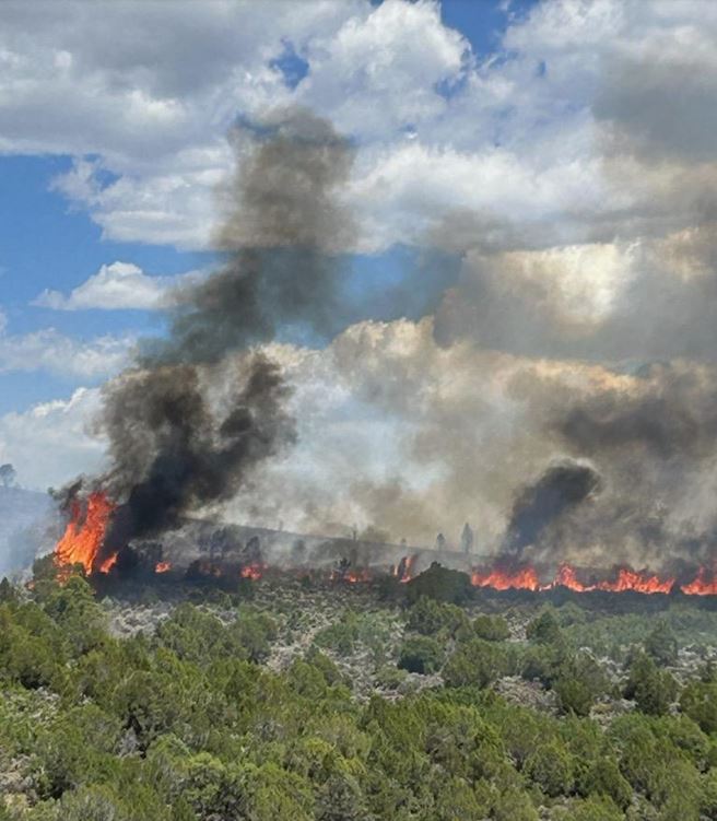 Coulter Creek Fire