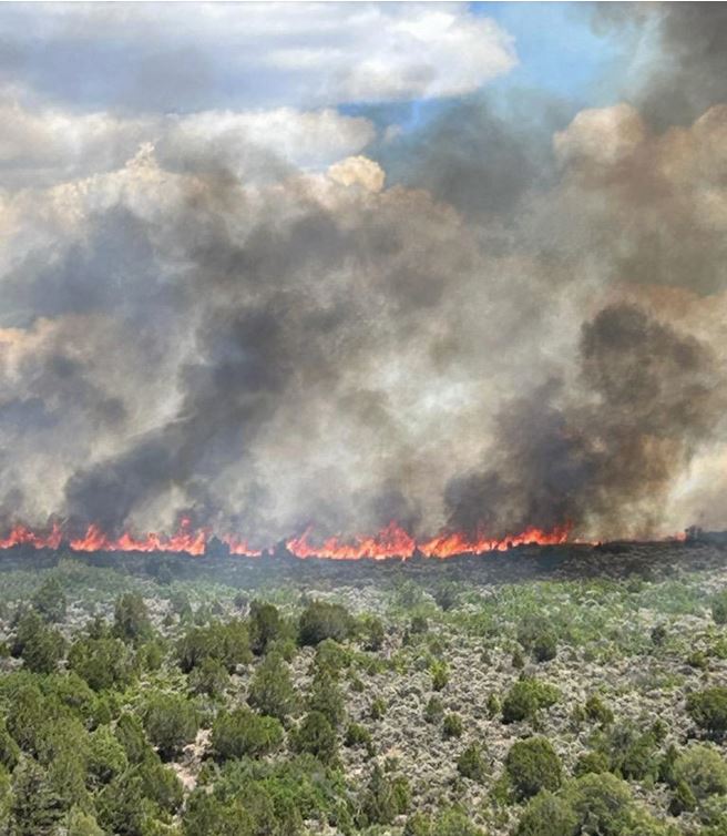 Coulter Creek Fire