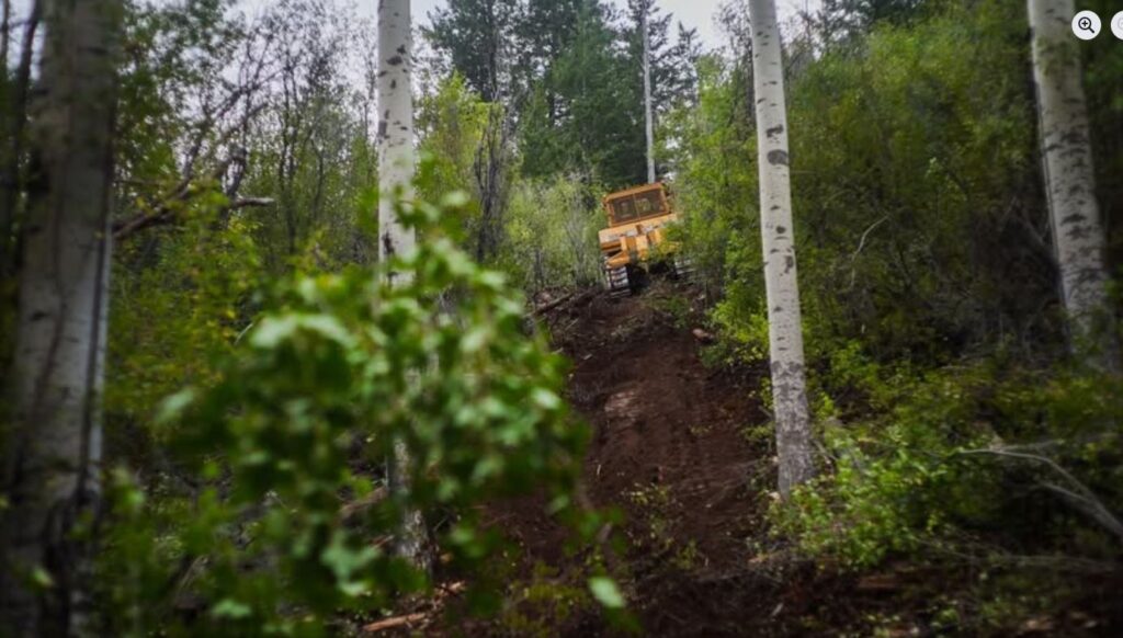 8-31-25 Derby Fire dozer line in forest