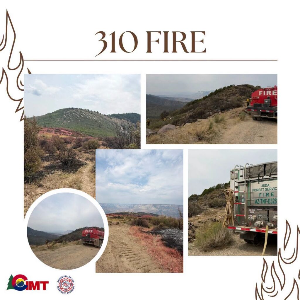 Photos of ground work on 310 Fire