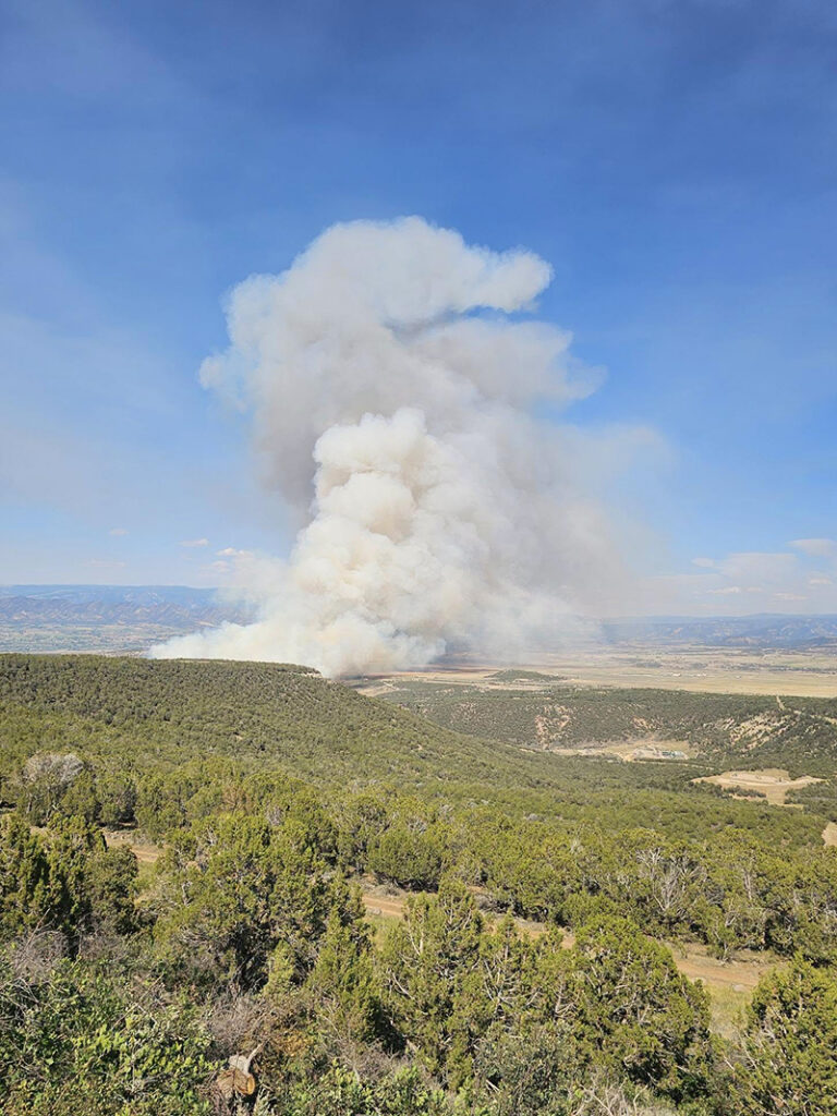 plume of smoke from Dry Creek Fire
