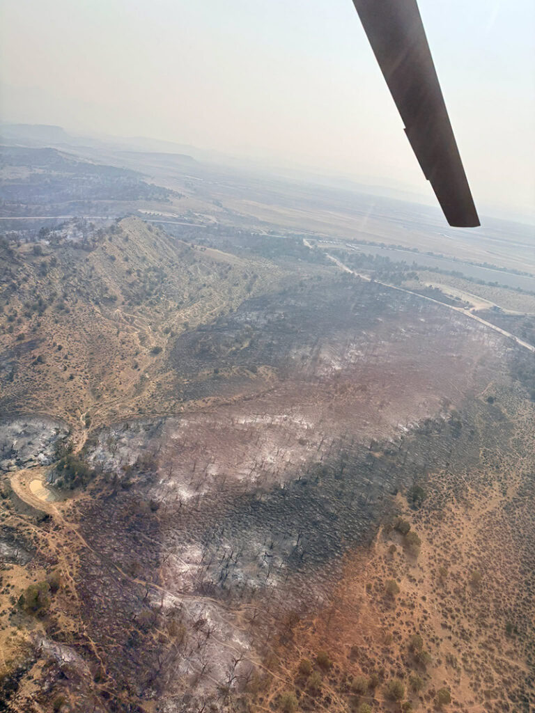 Aerial view of the Dry Creek Fire burn area.