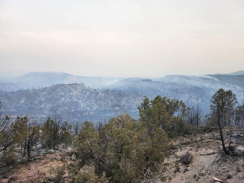 Burn area of Dry Creek Fire.