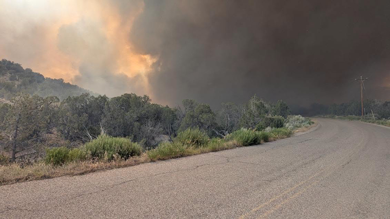 Emergency services respond to the Dry Creek Fire.