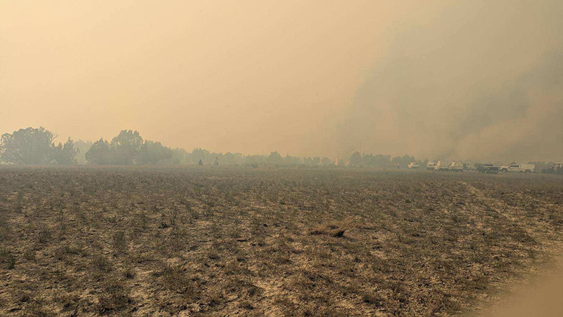 Burn area of the Dry Creek Fire.