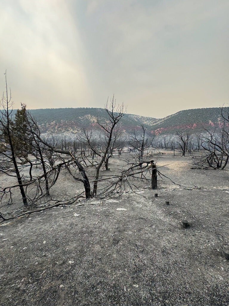 Burn area of the Dry Creek Fire.