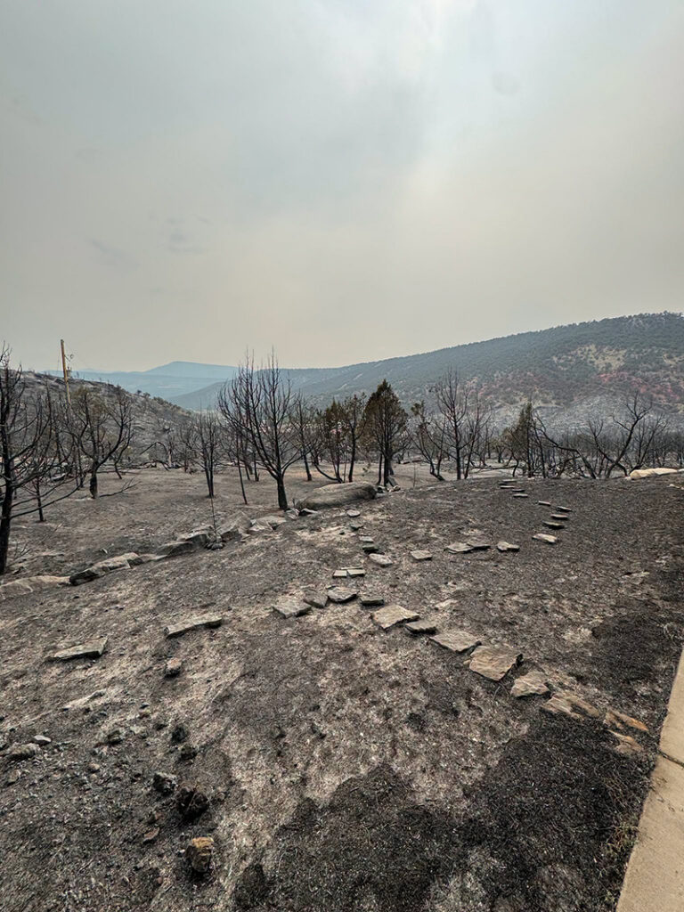 Burn area of the Dry Creek Fire.