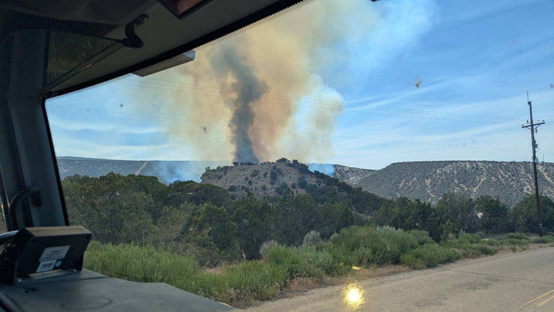 Smoke column from the Dry Creek Fire,