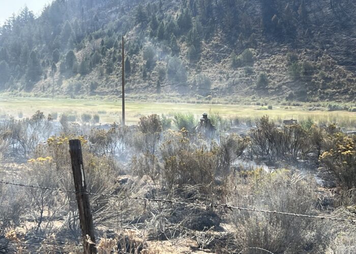 Lolo Interagency Hotshot Crew on the Lee Fire